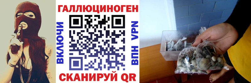 Купить где  Михайлов  Галлюциногенные грибы ЛСД 