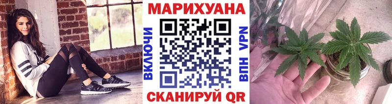 Шишки марихуана сатива  Купить закладки  Михайлов 